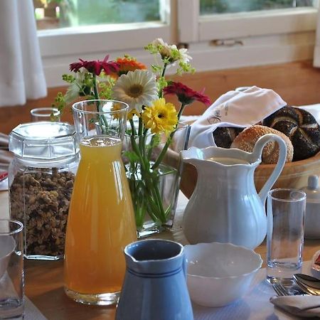 Grosszuegige Ferienwohnung Am Skigebiet Boedele Mit Rheintalblick Dornbirn Bagian luar foto