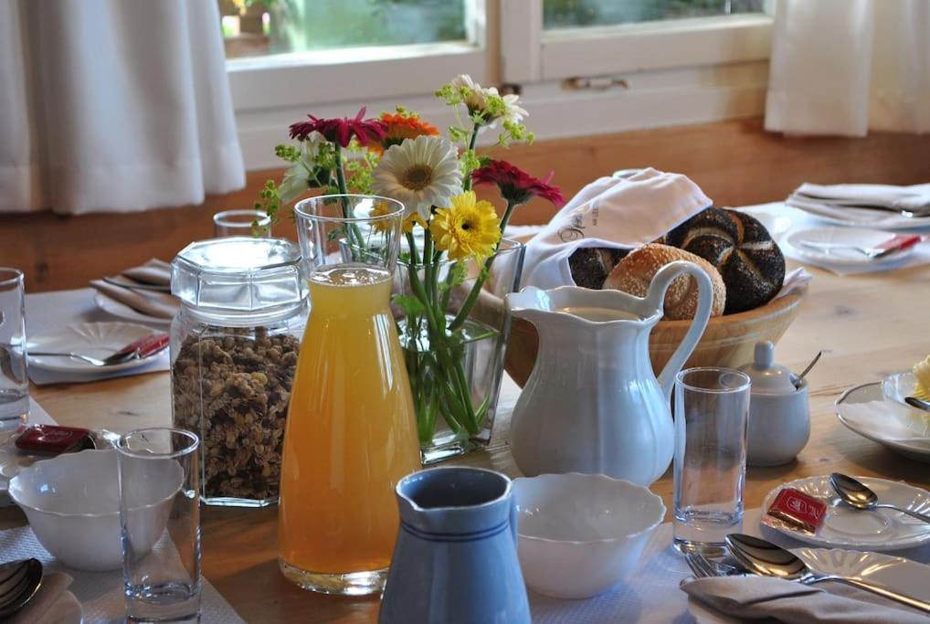 Grosszuegige Ferienwohnung Am Skigebiet Boedele Mit Rheintalblick Dornbirn Bagian luar foto